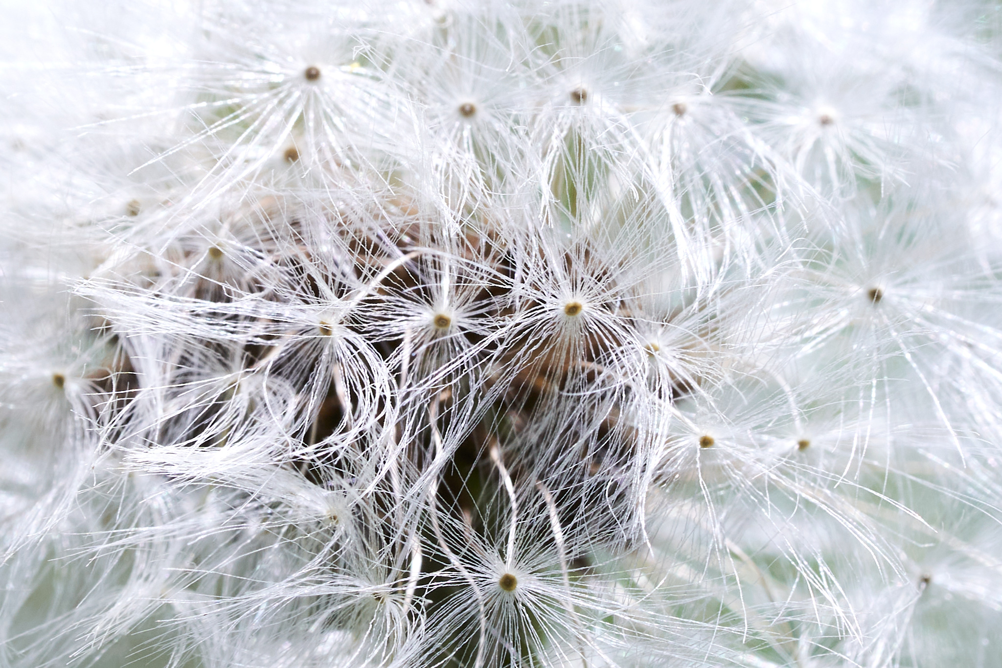 2022 05 08 Gruga 0453